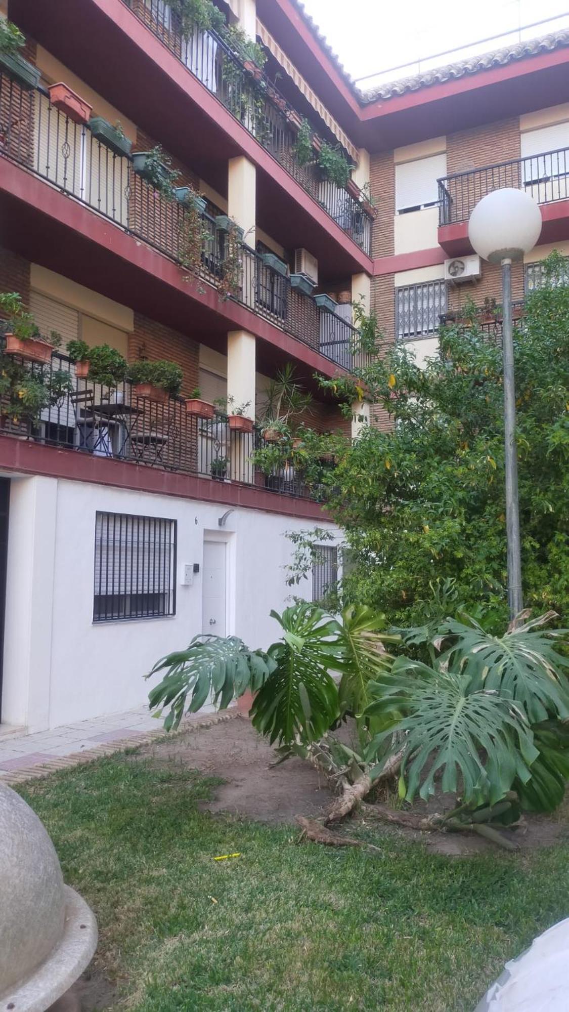 Loft A La Verita River, Parking Free Córdoba Eksteriør bilde